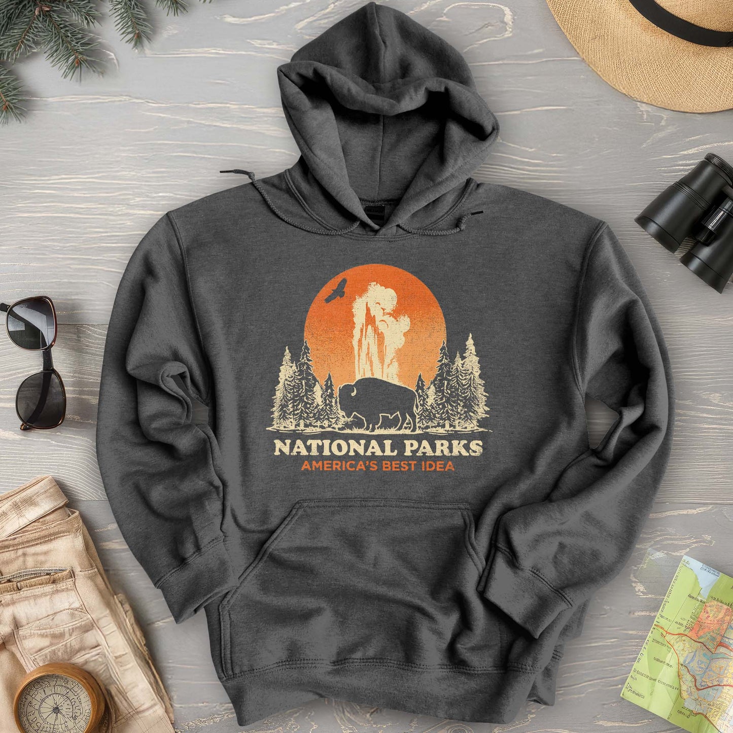 America's Best Idea Parks Hoodie