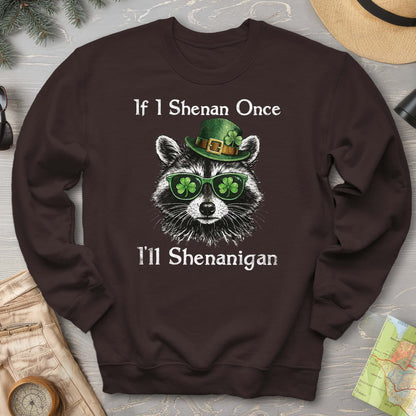 Shenanigans Raccoon Sweatshirt