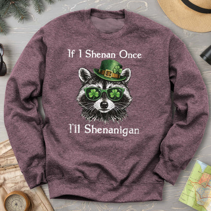 Shenanigans Raccoon Sweatshirt