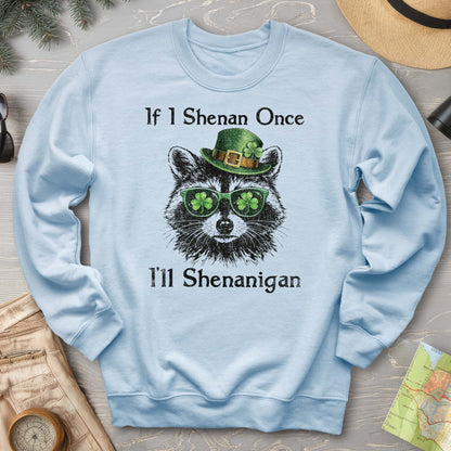 Shenanigans Raccoon Sweatshirt