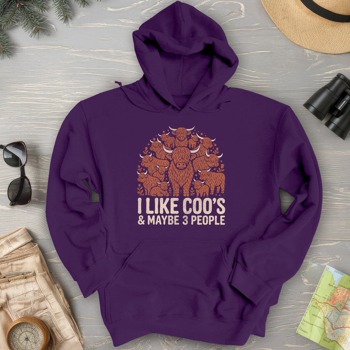I Like Coos Hoodie