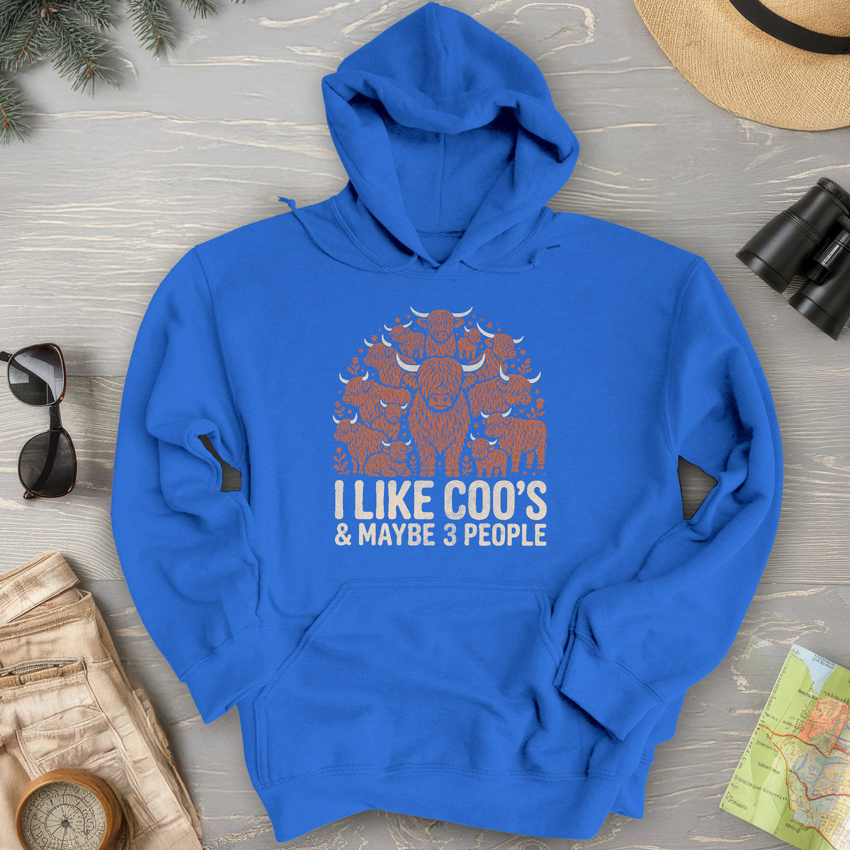 I Like Coos Hoodie