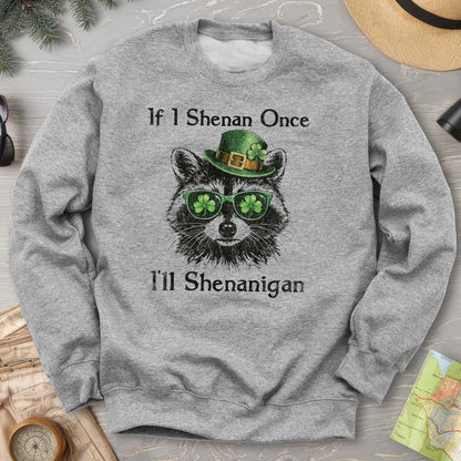 Shenanigans Raccoon Sweatshirt