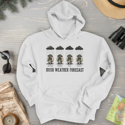 Irish Weather Forecast Hoodie
