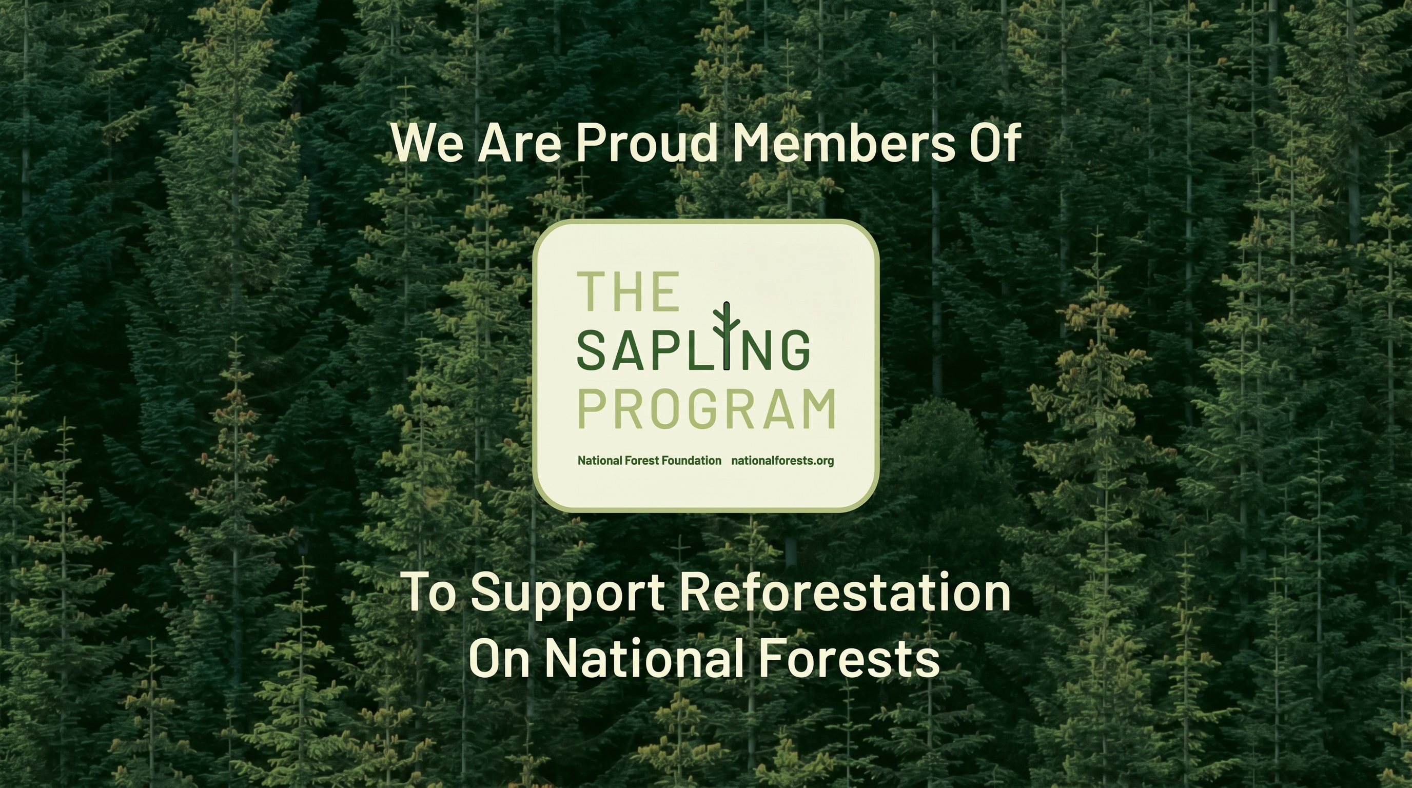 Triangle Threads is a proud Sapling Program member of the National Forest Foundation